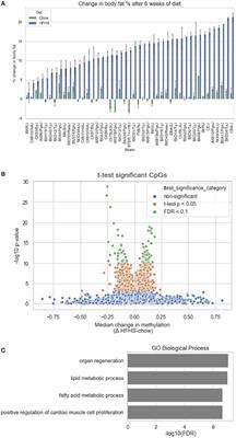 DNA Methylation Changes More Slowly Than Physiological States in Response to Weight Loss in Genetically Diverse Mouse Strains